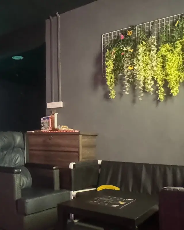 Leather armchairs and a sofa under hanging plants.